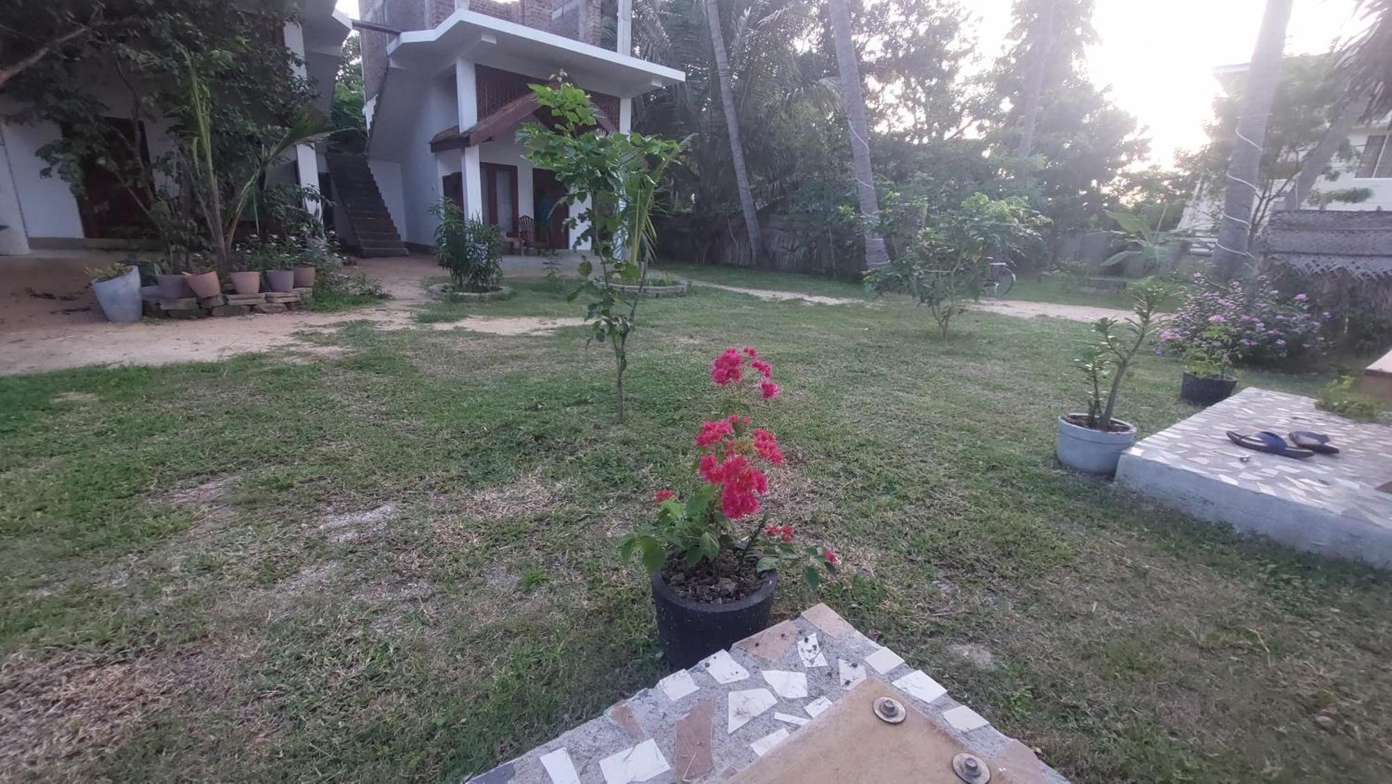 The Dream Inn Guesthouse Passikudah Batticaloa Exterior photo